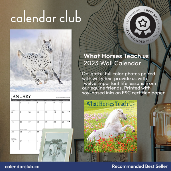 What Horses Teach Us Wall Calendar icon