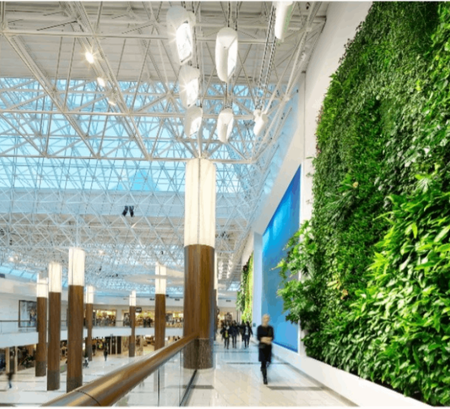 plants growing on mall walls