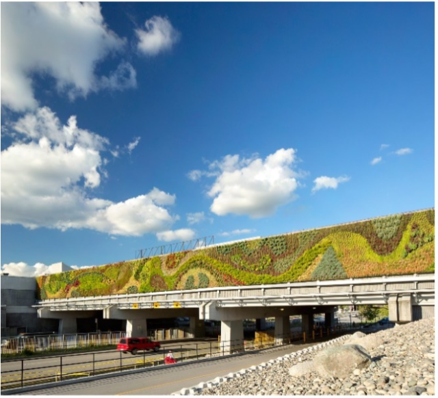 plant design growing on wall overpass