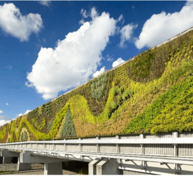 plant design growing on wall overpass