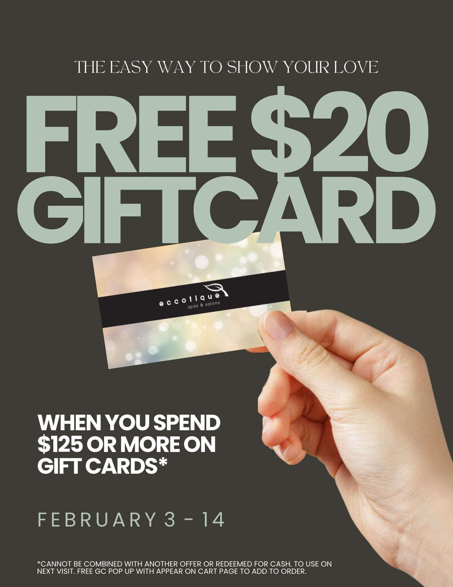 Purchase $125+ gift card, get a $20 gift card FREE! icon